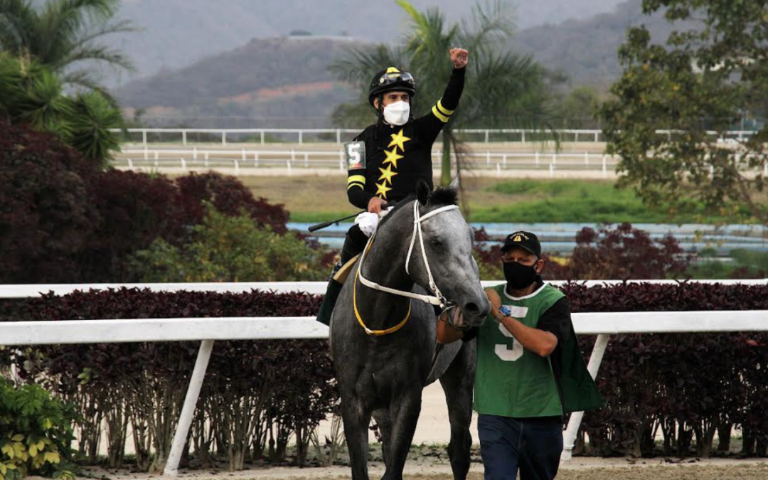 El «Pocho» Lugo en Busca de Otra Hazaña en el Hipismo Criollo