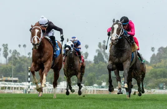 Suspendidas las Carreras de Caballos en el Hipódromo de Colonial Downs: Reprogramación Debido a Tormenta Tropical