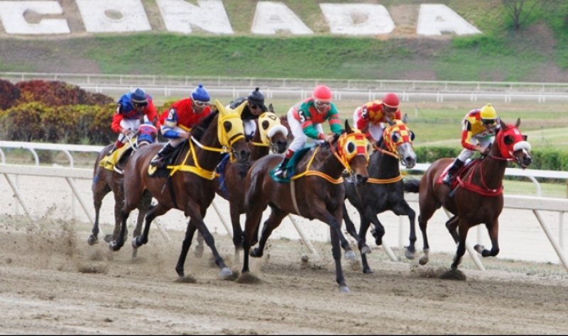 Hipismo: Retiro Sorpresivo en La Rinconada Cambia el Escenario de la Segunda Carrera