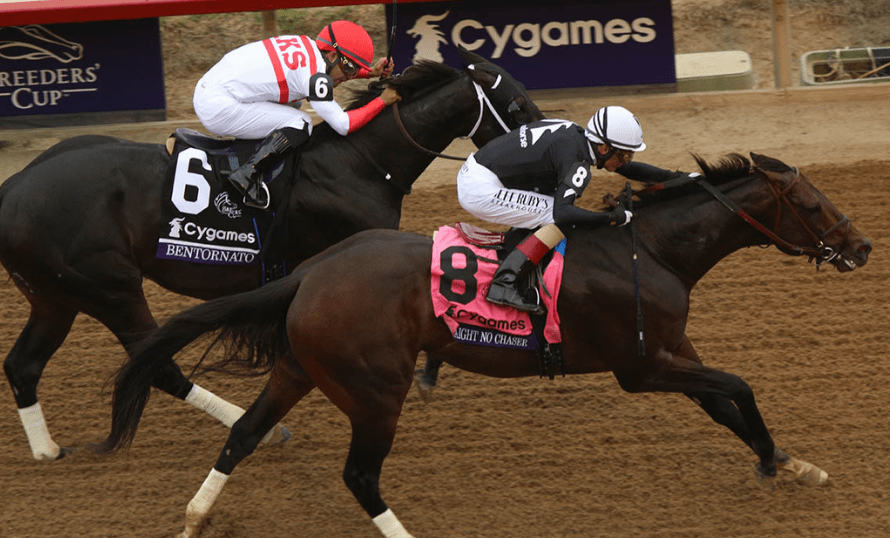 Bentornato se prepara para su regreso triunfal: el subcampeón de la Breeders’ Cup Sprint vuelve a escena