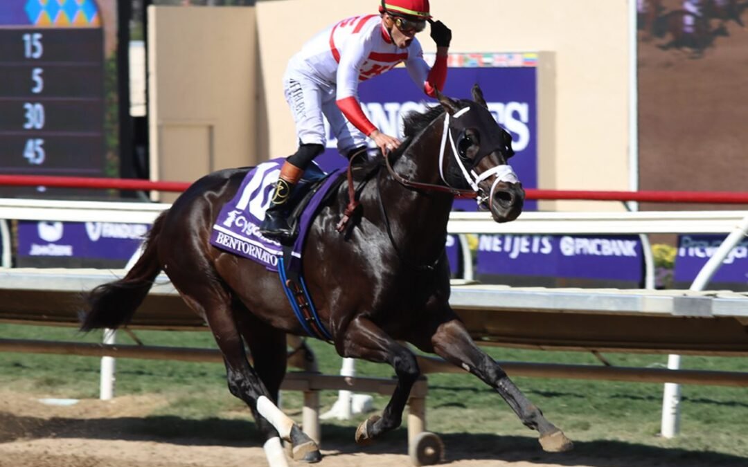 Bentornato confirma fecha de viaje rumbo a la Dubai World Cup