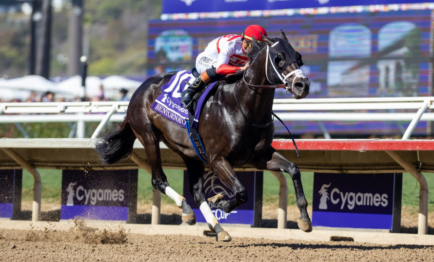 D’Angelo va por la gloria en Dubái con Bentornato como carta estelar